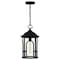 Quoizel Brampton 1-Light Matte Black Outdoor Hanging Lantern BRM1909MBK - alternate 3